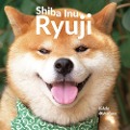 Cover-Bild zum Titel 'Shiba Inu Ryuji' von 'Yukiko Motoshima'
