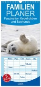 Cover-Bild zum Titel 'Familienplaner 2026 - Faszination Kegelrobben und Seehunde mit 5 Spalten (Wandkalender, 21 x 45 cm) CALVENDO' von 'Armin Maywald'