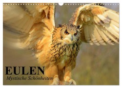 Cover-Bild zum Titel 'Eulen. Mystische Schönheiten (Wandkalender 2026 DIN A3 quer), CALVENDO Monatskalender' von 'Elisabeth Stanzer'