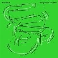 Cover-Bild zum Titel 'Going Down The Well' von 'Moonmot'