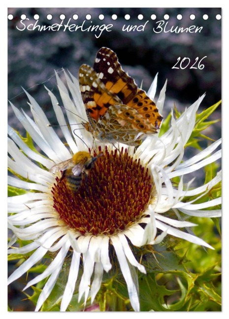 Schmetterlilnge und Blumen (Tischkalender 2026 DIN A5 hoch), CALVENDO Monatskalender - 