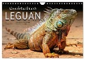 Wunderschöner Leguan (Wandkalender 2024 DIN A4 quer), CALVENDO Monatskalender - Peter Roder