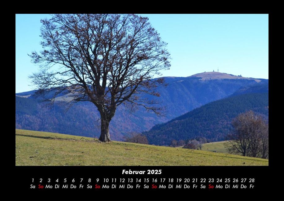 InsideView 6
