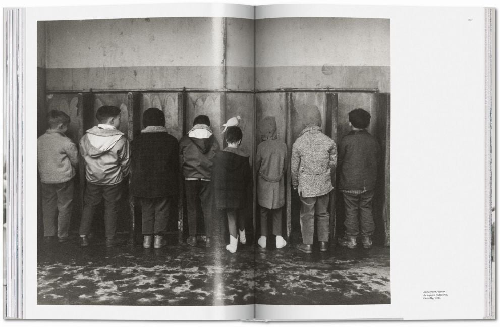 InsideView 14