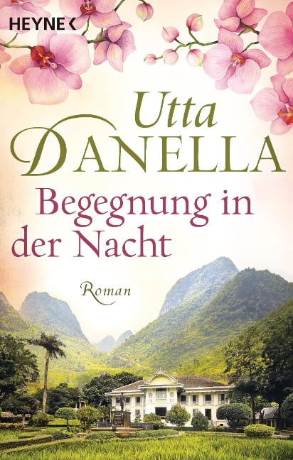 Begegnung in der Nacht - Utta Danella