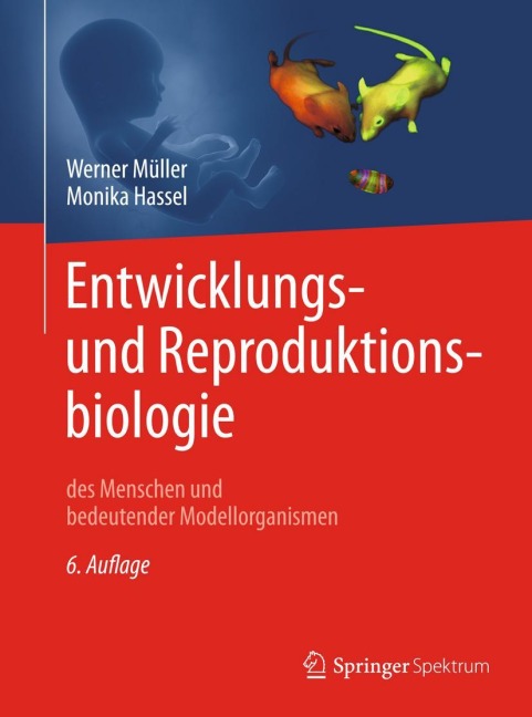 Entwicklungsbiologie und Reproduktionsbiologie des Menschen und bedeutender Modellorganismen - Werner A. Müller, Monika Hassel