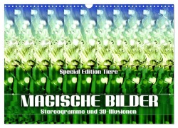 Magische Bilder - Stereogramme und 3D-Illusionen (Wandkalender 2025 DIN A3 quer), CALVENDO Monatskalender - Renate Utz