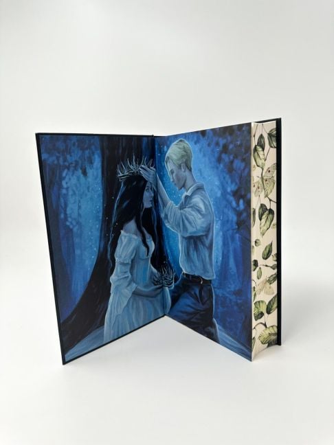 InsideView 5