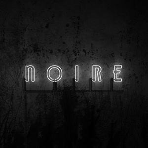 Noire (Digipak) - Vnv Nation