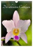 Die schönsten Cattleyen (Wandkalender 2026 DIN A4 hoch), CALVENDO Monatskalender - Clemens Stenner