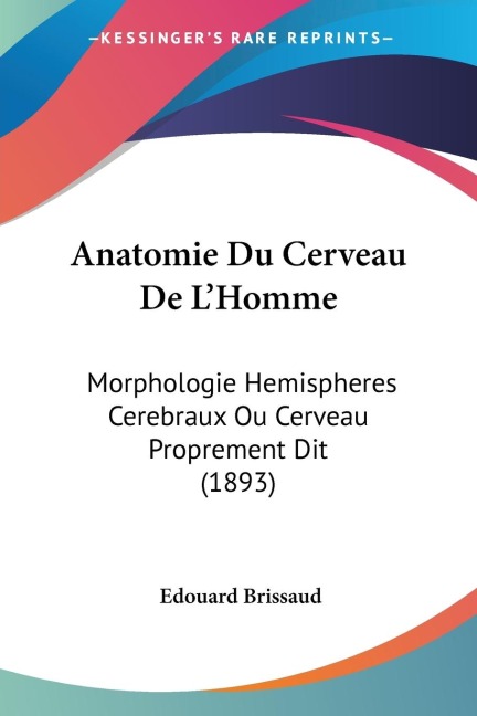 Anatomie Du Cerveau De L'Homme - Edouard Brissaud