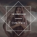 Cover-Bild zum Titel 'The Water-Babies' von 'Charles Kingsley'