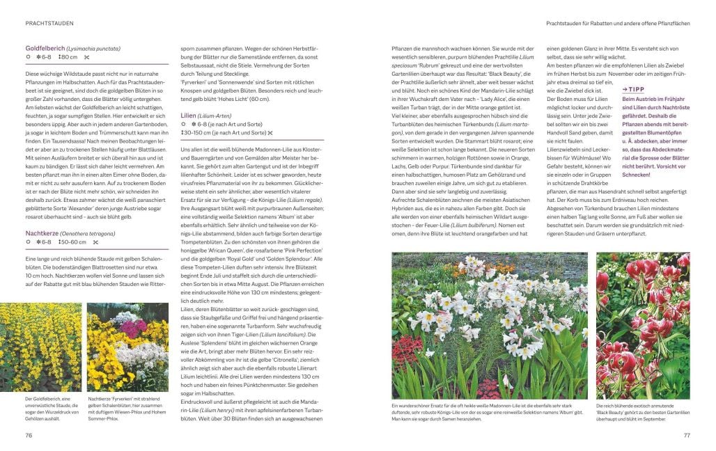 InsideView 7