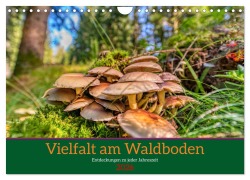 Vielfalt am Waldboden (Wandkalender 2026 DIN A4 quer), CALVENDO Monatskalender - Torsten Irmer