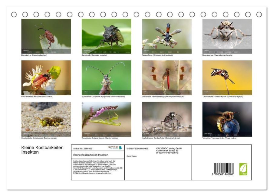 InsideView 5
