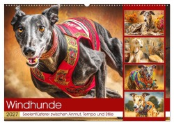Cover-Bild zum Titel 'Windhunde. Seelenflüsterer zwischen Anmut, Tempo und Stille (Wandkalender 2027 DIN A2 quer), CALVENDO Monatskalender' von 'Rose Hurley'