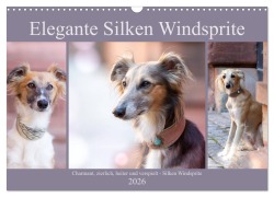 Elegante Silken Windsprite (Wandkalender 2026 DIN A3 quer), CALVENDO Monatskalender - Fotodesign Verena Scholze