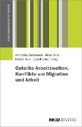 Cover-Bild zum Titel 'Geteilte Arbeitswelten. Konflikte um Migration und Arbeit' von ''