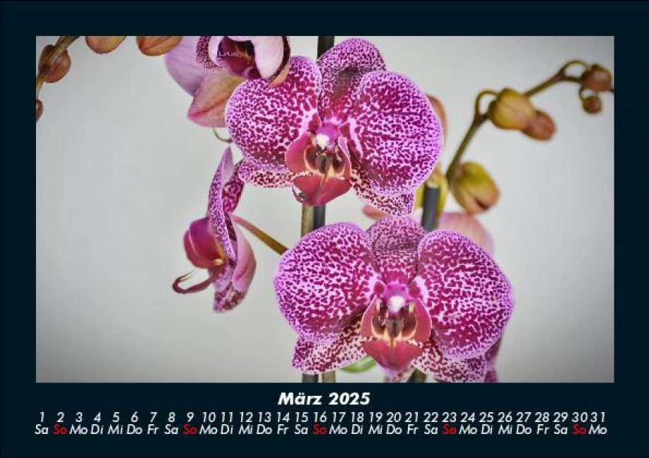 InsideView 7