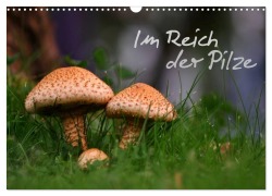 Cover-Bild zum Titel 'Im Reich der Pilze (Wandkalender 2026 DIN A3 quer), CALVENDO Monatskalender' von ''