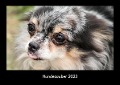 Hundezauber 2023 Fotokalender DIN A3 - Tobias Becker
