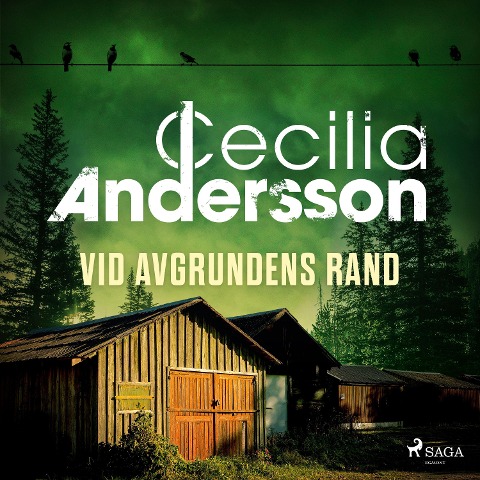 Vid avgrundens rand - Cecilia Andersson