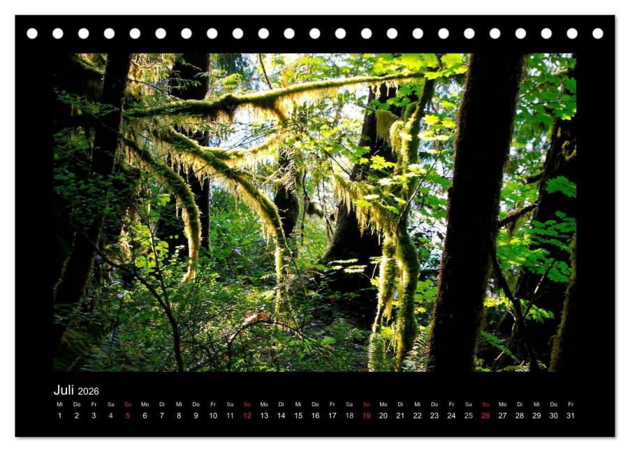 InsideView 12