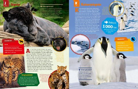 InsideView 10