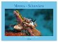 Meeres-Schnecken (Wandkalender 2025 DIN A2 quer), CALVENDO Monatskalender - Ute Niemann