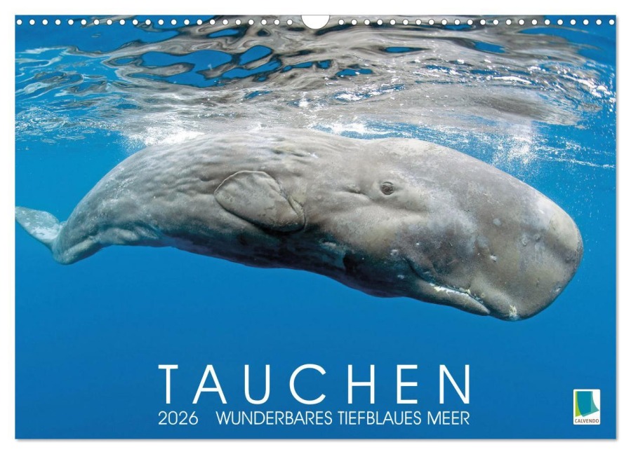 Tauchen: Wunderbares tiefblaues Meer (Wandkalender 2026 DIN A3 quer), CALVENDO Monatskalender - Calvendo Calvendo