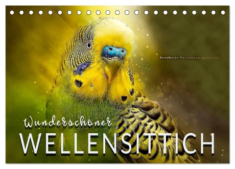 Wunderschöner Wellensittich (Tischkalender 2024 DIN A5 quer), CALVENDO Monatskalender - Peter Roder