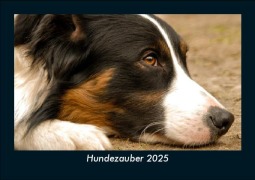 Cover-Bild zum Titel 'Hundezauber 2025 Fotokalender DIN A5' von 'Tobias Becker'
