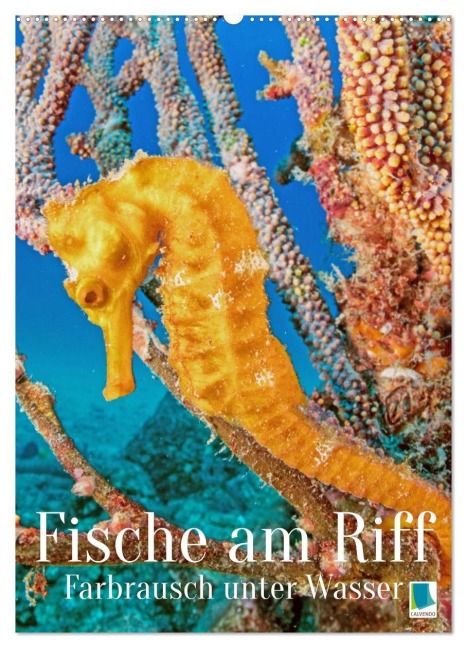 Farbrausch unter Wasser: Fische am Riff (Wandkalender 2027 DIN A2 hoch), CALVENDO Monatskalender - Calvendo