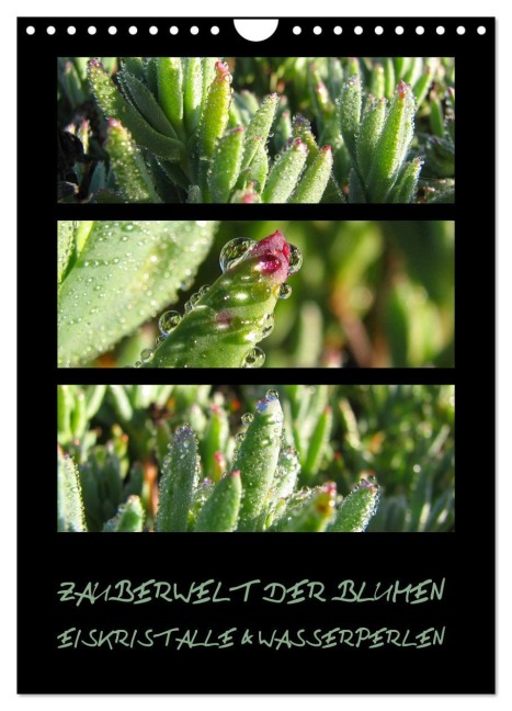ZAUBERWELT DER BLUMEN - EISKRISTALLE & WASSERPERLEN (Wandkalender 2026 DIN A4 hoch), CALVENDO Monatskalender - Hinter-Dem-Horizont-Media. Net Tanja & Bernhard Kiesow