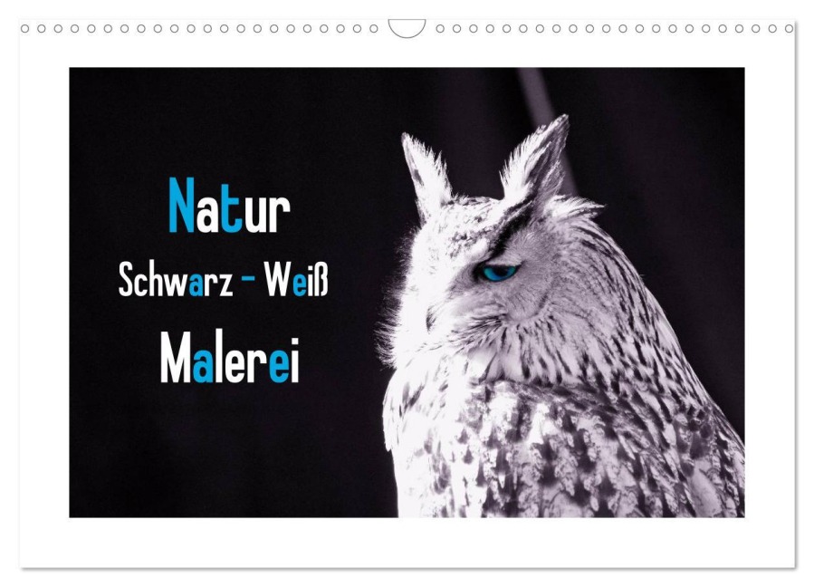Natur schwarz - weiß Malerei (Wandkalender 2026 DIN A3 quer), CALVENDO Monatskalender - Tanja Riedel
