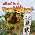 What Is a Heat Wave? - Robin Johnson
