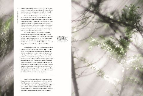 InsideView 6