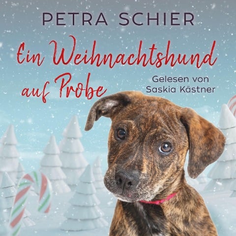 Ein Weihnachtshund auf Probe - Petra Schier
