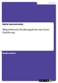 Cover-Bild zum Titel 'Makrobiotische Ernährungsform: eine kurze Einführung' von 'Maria Kammermeier'