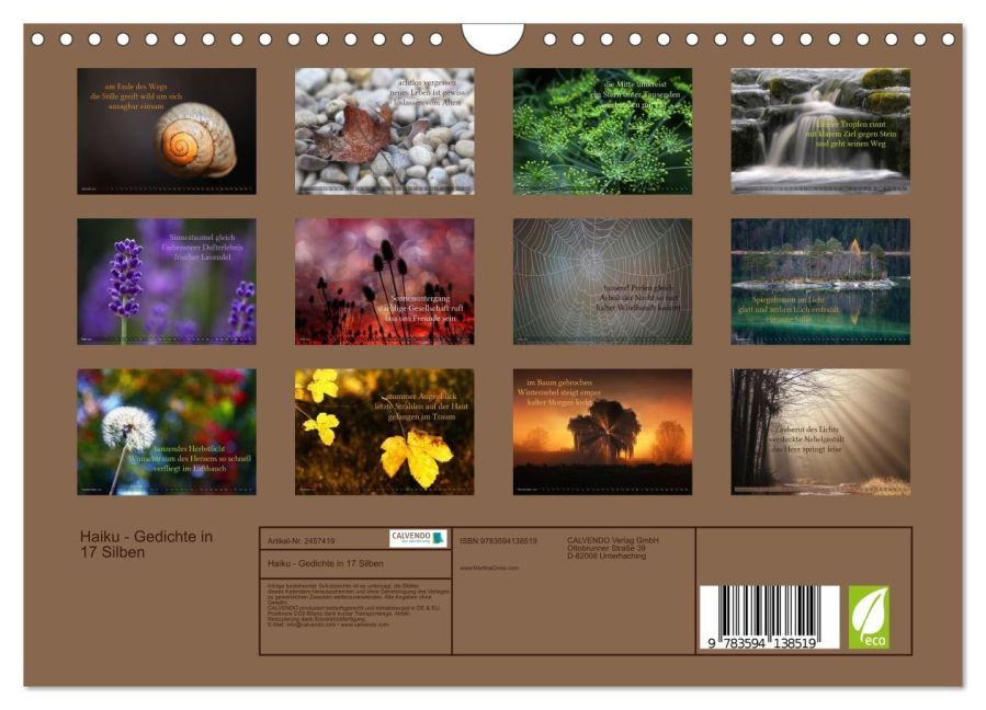InsideView 5