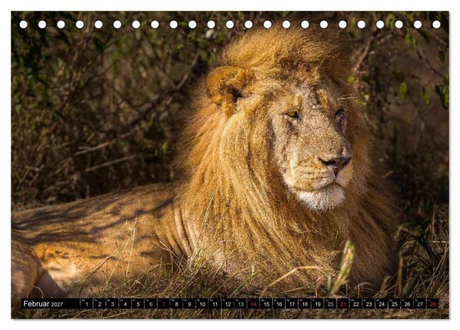 InsideView 7