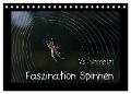 Voll vernetzt - Faszination Spinnen (Tischkalender 2025 DIN A5 quer), CALVENDO Monatskalender - Sigrid Enkemeier