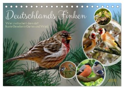 Cover-Bild zum Titel 'Deutschlands Finken (Tischkalender 2026 DIN A5 quer), CALVENDO Monatskalender' von ''