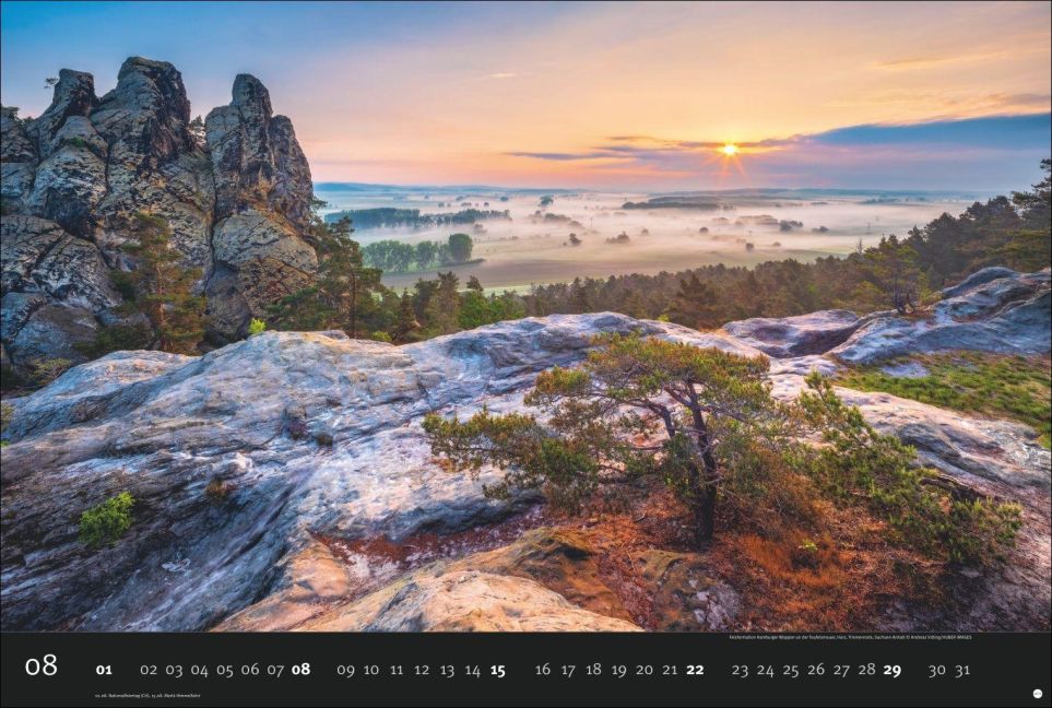 InsideView 8