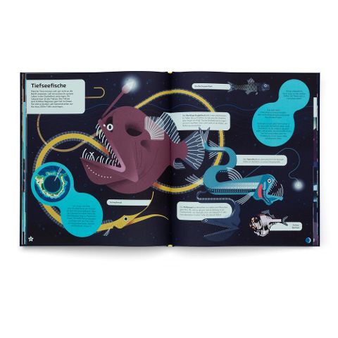 InsideView 5