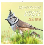 Cover-Bild zum Titel 'Einheimische Vögel 2027' von ''
