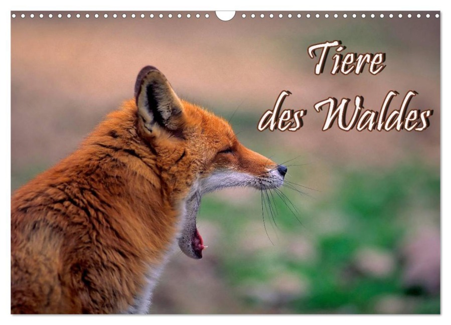 Tiere des Waldes (Wandkalender 2026 DIN A3 quer), CALVENDO Monatskalender - Bildagentur Geduldig