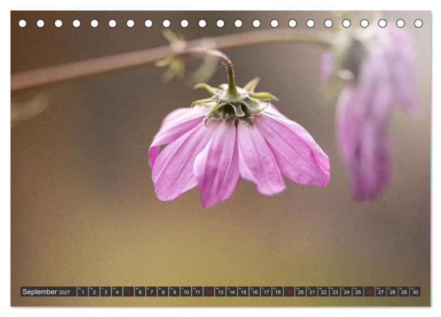 InsideView 14