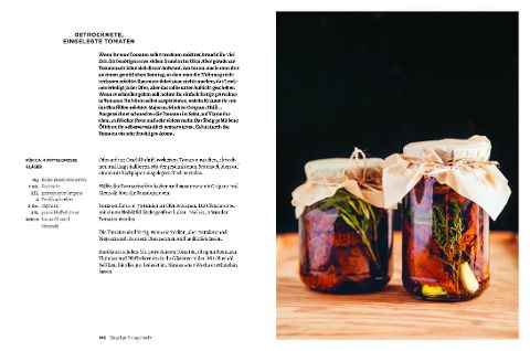 InsideView 8