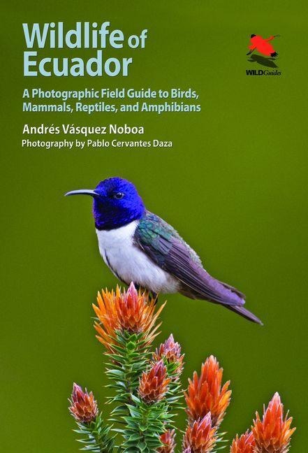 Wildlife of Ecuador - Andres Vasquez Noboa